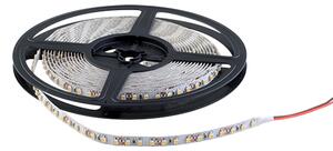LED ЛЕНТА SMD2835 12V/DC 9,6W/M 6500K IP20