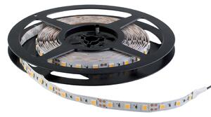 LED ЛЕНТА SMD5050 24V/DC 14.4WM 60PCS/M 2700K IP20