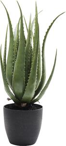 Деко растение Aloe 69cm