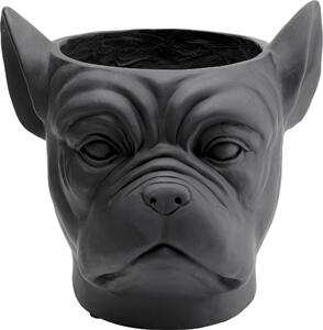 Саксия Bulldog Black