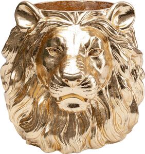 Саксия Lion Gold