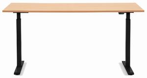 Бюро Smart Black Beech 160x80