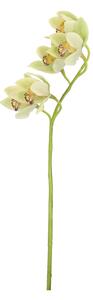 BIZZOTTO ИЗКУСТВЕНА КЛОНКА CYMBIDIUM DYAN 66CM З