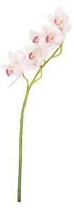 BIZZOTTO ИЗКУСТВЕНА КЛОНКА CYMBIDIUM DYAN 66CM БЯЛ