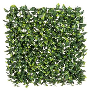 BIZZOTTO ДЕКОРАТИВНА ЗЕЛЕНА СТЕНА GARDENIA 50X50