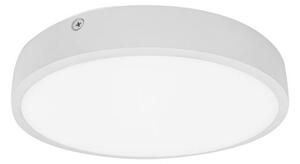 Palnas 61003580 - LED Лампа за баня EGON LED/30W/230V IP44 3000K