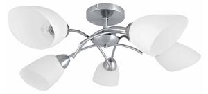 Spot-Light 8141527 - Полилей за повърхностен монтаж VILETTA 5xE27/60W/230V