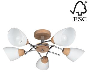 Spot-Light 8141574 - Полилей за повърхностен монтаж VILETTA 5xE27/40W/230V