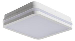 Kanlux 33342 - LED Екстериорна лампа BENO LED/24W/230V 4000K бяла IP54