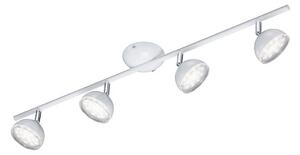 Trio - LED Спот BOLOU 4xLED/3,8W/230V