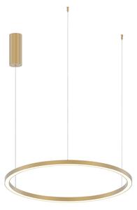 Luce Ambiente Design LED висяща лампа Hoop, златист цвят, Ø 80 см, метал, CCT, Злато / месинг, Дневна/трапезария, Алуминий, Модерен