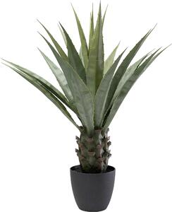 Деко растение Agave 85cm