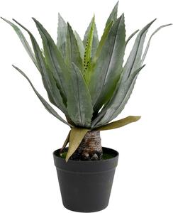 Деко растение Agave 40cm