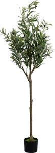 Деко растение Olive Tree 150cm