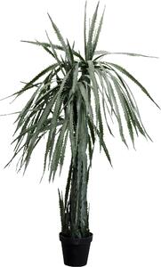 Деко растение Dragon Tree 155cm