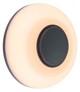 Paulmann 94955 - LED/20,5W IP65 Димируемо външно стенно осветително тяло AUREVA 230V