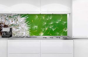 Фототапет за кухня - глухарче 180 x 60 см
