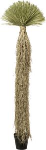 Деко растение Yucca Rostrata 240cm