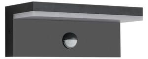Brilagi-LED Външно стенно осветително тяло с сензор TESSI LED/10W/230V черно IP54