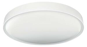 LED Плафон SAMER LED/32W/230V 4000K