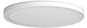 Azzardo AZ5363 -LED Димируема лампа за баня PANKA LED/18W/230V IP40 бял