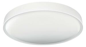 LED Плафониера SAMER LED/40W/230V 4000K