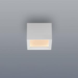 PURE LED таванна лампа Manhatten, снежнобяла, 1-лампова, CCT, Затъмняване, Бял, Коридор, Алуминий, Модерен