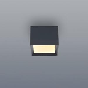 PURE LED таванна лампа Manhatten, мистично сиво, 1-лампова, CCT, Затъмняване, Сив, Коридор, Алуминий, Модерен