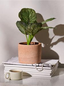 Sinsay - Изкуствено декоративно растение Alocasia в саксия - зeлeн