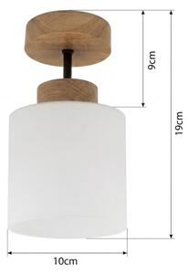 BRILAGI - LED плафонен полилей RETRO GLASS 1xE27/60W/230V Ø 10 см дъб/бял