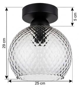 BRILAGI - LED таванно осветително тяло R GLASS 1xE27/60W/230V Ø 25 см черно/димчато сиво