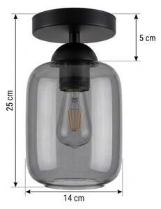 BRILAGI - LED таванно осветително тяло R GLASS 1xE27/60W/230V Ø 14 см черно/димно сиво