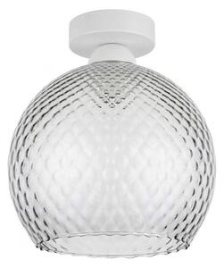 BRILAGI - LED таванно осветително тяло R GLASS 1xE27/60W/230V Ø 25 см бял/димно сив