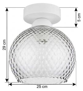 BRILAGI - LED таванно осветително тяло R GLASS 1xE27/60W/230V Ø 25 см бял/димно сив
