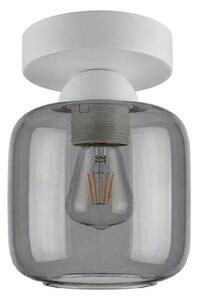 BRILAGI - LED таванно осветително тяло R GLASS 1xE27/60W/230V диам. 14 см бял/димчено сив