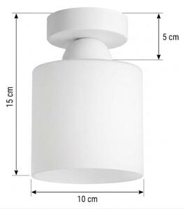 BRILAGI - LED таванно осветително тяло RETRO GLASS 1xE27/60W/230V диам. 10 см бяло