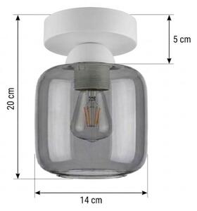 BRILAGI - LED таванно осветително тяло R GLASS 1xE27/60W/230V диам. 14 см бял/димчено сив