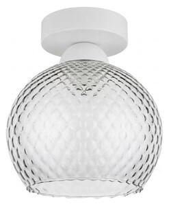 BRILAGI - LED таванно осветително тяло R GLASS 1xE27/60W/230V Ø 18 см бяло/димно сиво
