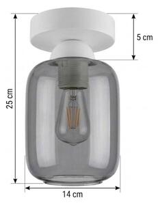 BRILAGI - LED Таванно осветително тяло R GLASS 1xE27/60W/230V Ø 14 cm бял/димно сив