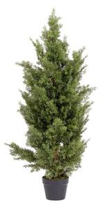 Bizzotto Кипарис растение в саксия UV H120 cm