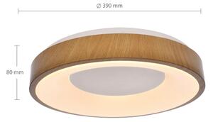 Brilagi - LED Димируем плафон DORIA LED/48W/230V 3000-6500K + д.у