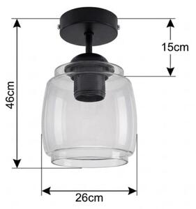 BRILAGI - LED плафон R GLASS 1xE27/60W/230V Ø 26 cm черен/димчато сив