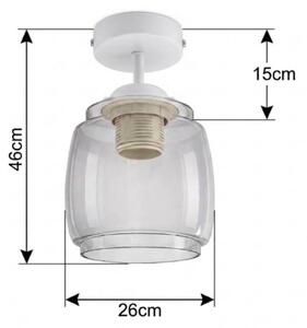BRILAGI - LED R GLASS повърхностно монтиран полилей 1xE27/60W/230V Ø 26 см бял/димно сив