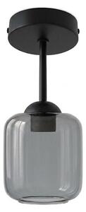 BRILAGI - LED Повърхностно монтиран плафон R GLASS 1xE27/60W/230V Ø 14 cm черен/димно сив