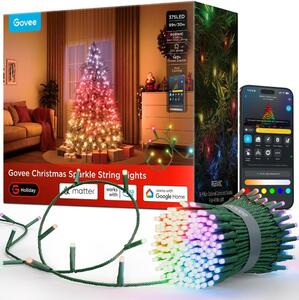 Govee - LED RGBWIC Външна коледна гирлянда 2700-6500K 30m Wi-Fi Matter IP65