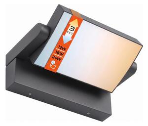 LED Stm външно стенно осветително тяло LED/12/18/24W/230V 3000/4000/6500K IP54 черно