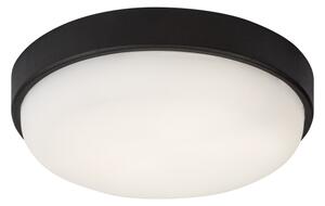 Rabalux 77223 - LED Външно таванно осветително тяло HORT2 LED/14W/230V IP54 черно