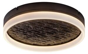 Rabalux 71523 - LED димируема таванна лампа TIMMO 24W/230V 3000-6500K Ø 40 cm черна+ДУ