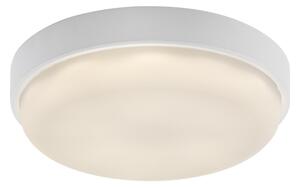Rabalux 77224 - LED външно таванно осветително тяло HORT2 LED/14W/230V IP54 бяло