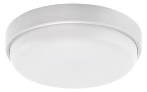 Rabalux 77224 - LED външно таванно осветително тяло HORT2 LED/14W/230V IP54 бяло